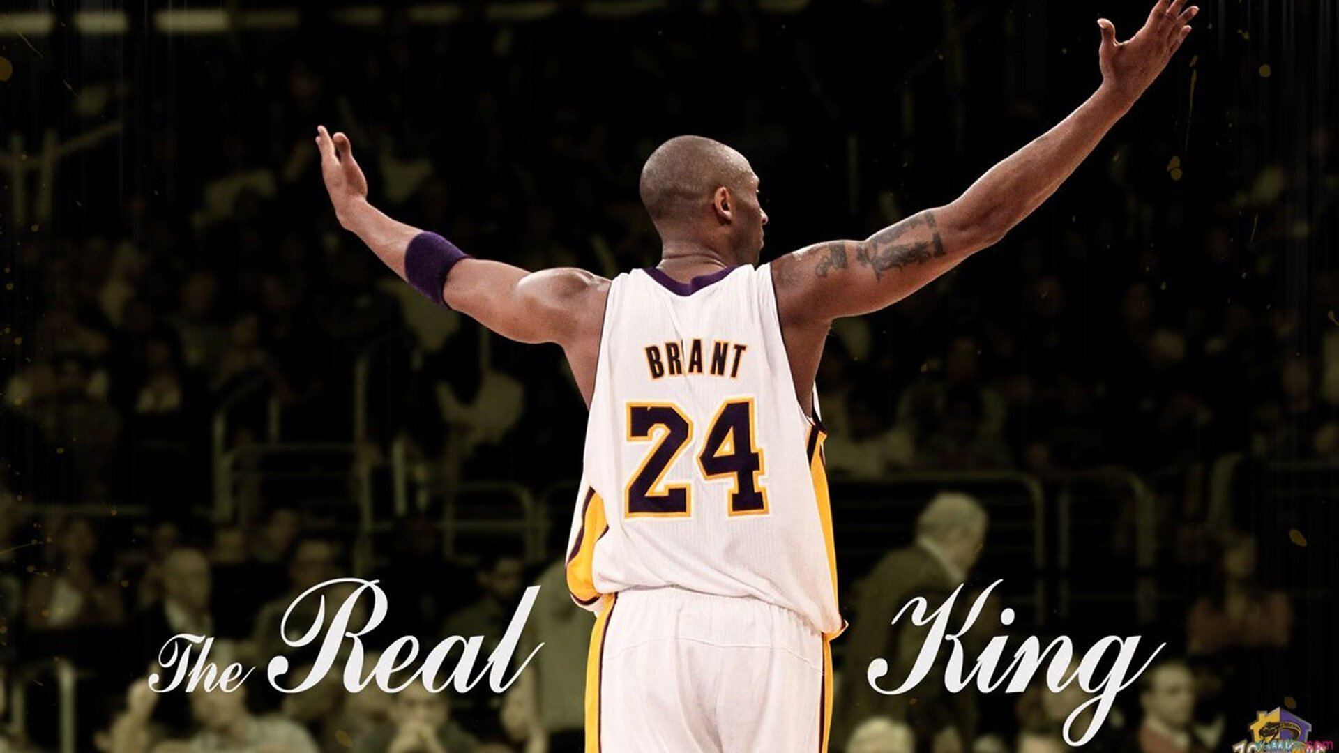 开云电竞登录入口-F1雨战混乱，五车连撞赛道封锁